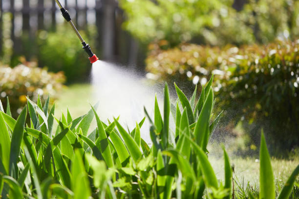 24/7 Emergency Ant Control experts in Richmond, TX