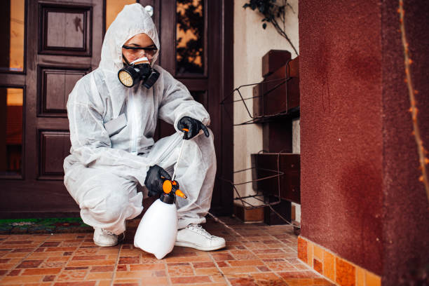 Reliable Ant Control contractor in Richmond, TX by Show Me Pest Control